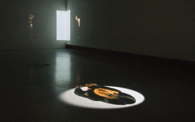 818d317ce3601c1a-Passages0_FirstLight1 First Light
Hamiltonian Gallery, Washington, D.C.; video projection onto floor, 2012